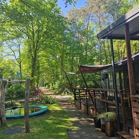 Heerlijk Huisje In Het Bos Op Chaletpark Kempenbos Diessen Buitenkant foto