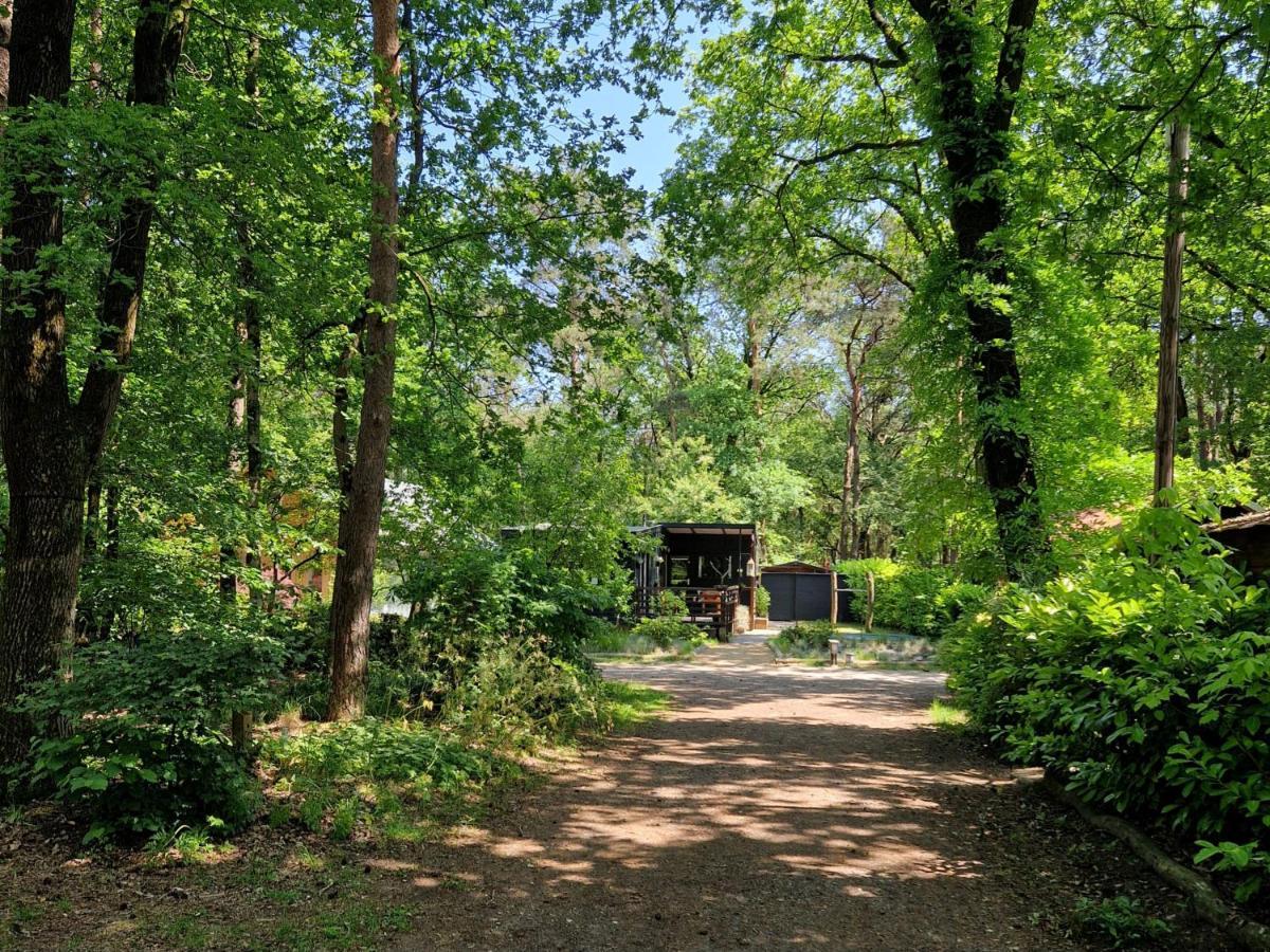 Heerlijk Huisje In Het Bos Op Chaletpark Kempenbos Diessen Buitenkant foto